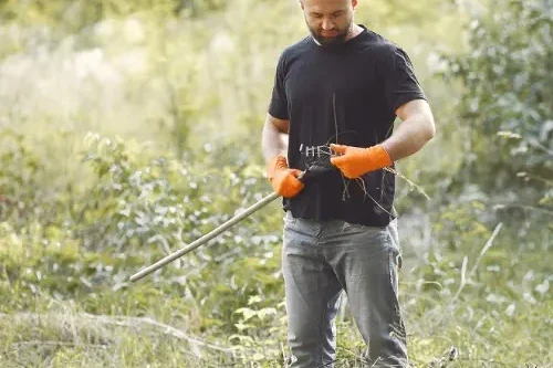 Desbroce-limpieza-de-parcelas