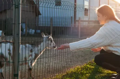 cercado-vallado-malla-ganadera-anudada-instalacion-venta