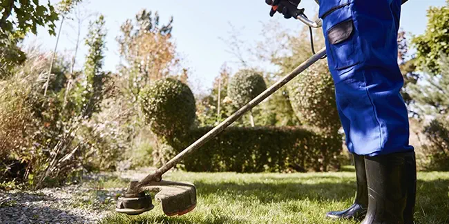 desbroce-de-parcelas