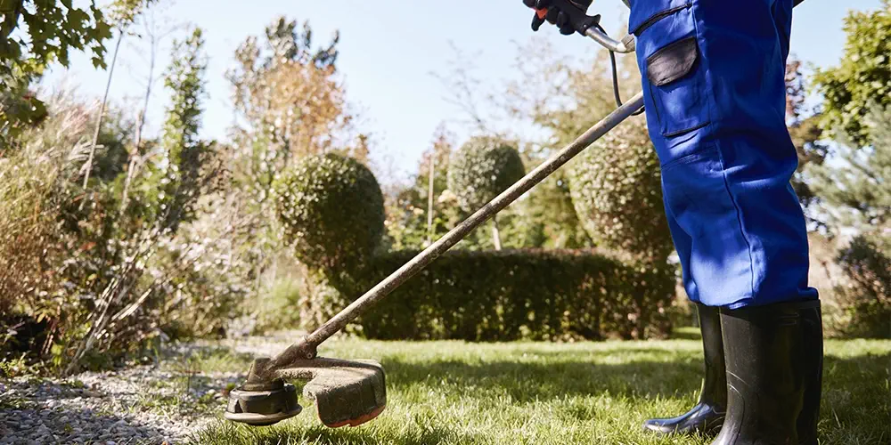 desbroce-de-terrenos