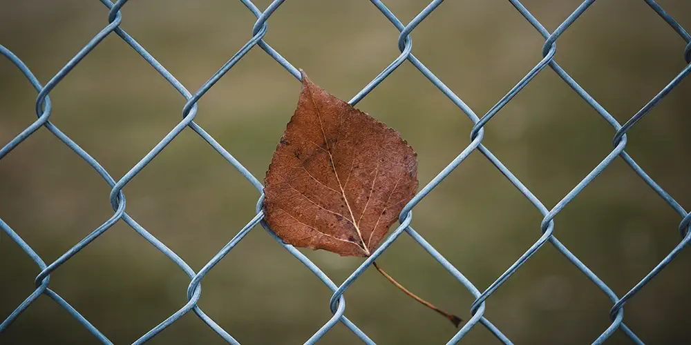 malla de simple torsion 1000