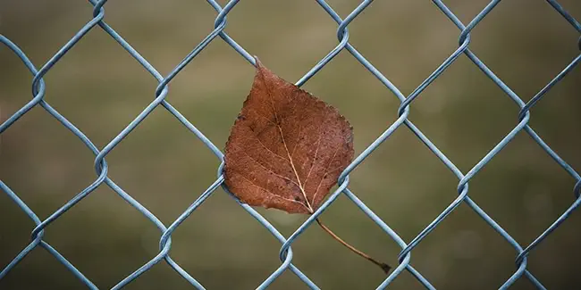 malla de simple torsion