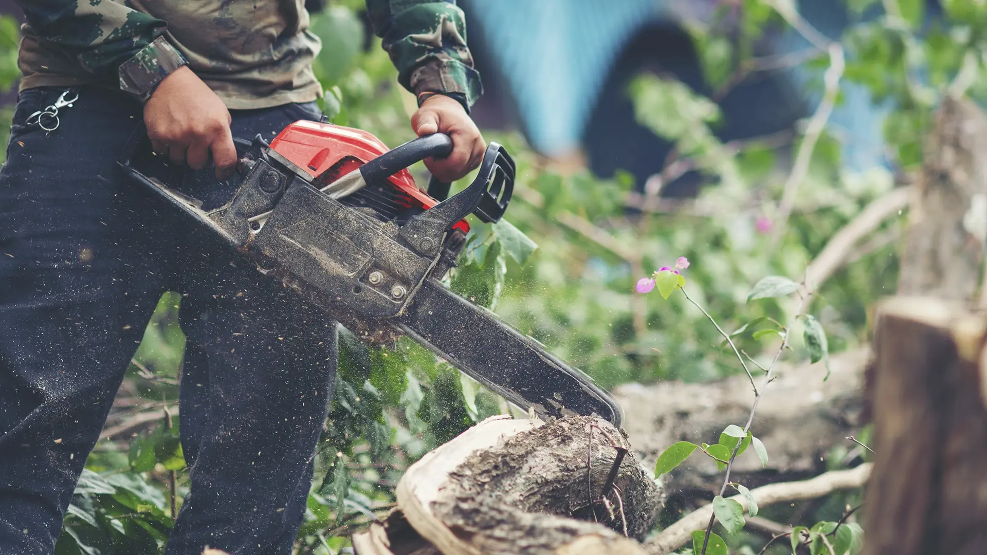 servicios-de-tala-y-poda